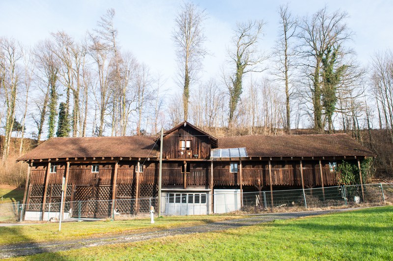 Die baufällige Remise mit den behelfsmässigen Stützen zur Sicherung des Daches.