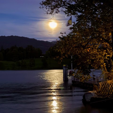 Seebad Buonas Blick auf Steg und Buonaser Fahne