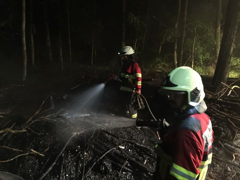 Brand im Zimbelwald Brand im Zimbelwald