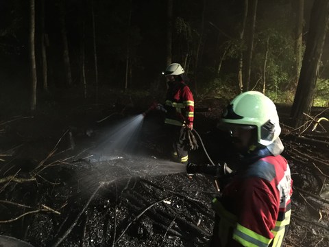 Brand im Zimbelwald