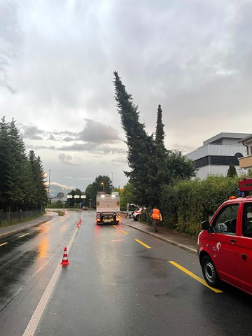 Baum hängt auf die Strasse hinaus