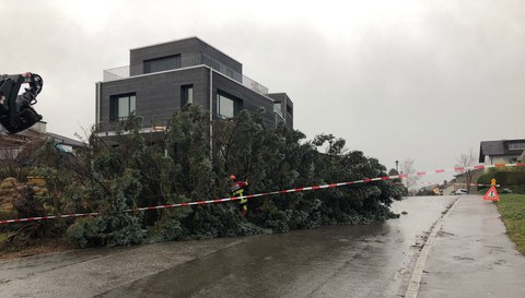 Sturmschäden im ganzen Gemeindegebiet