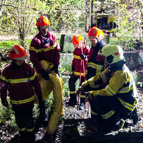 mini_2022-11-04_Übung-Jugendfeuerwehr_mca_034.jpg