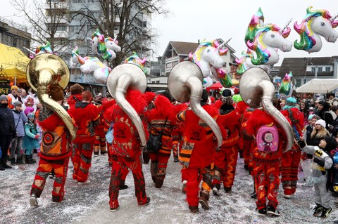 Fasnachtsumzug Fasnachtsumzug