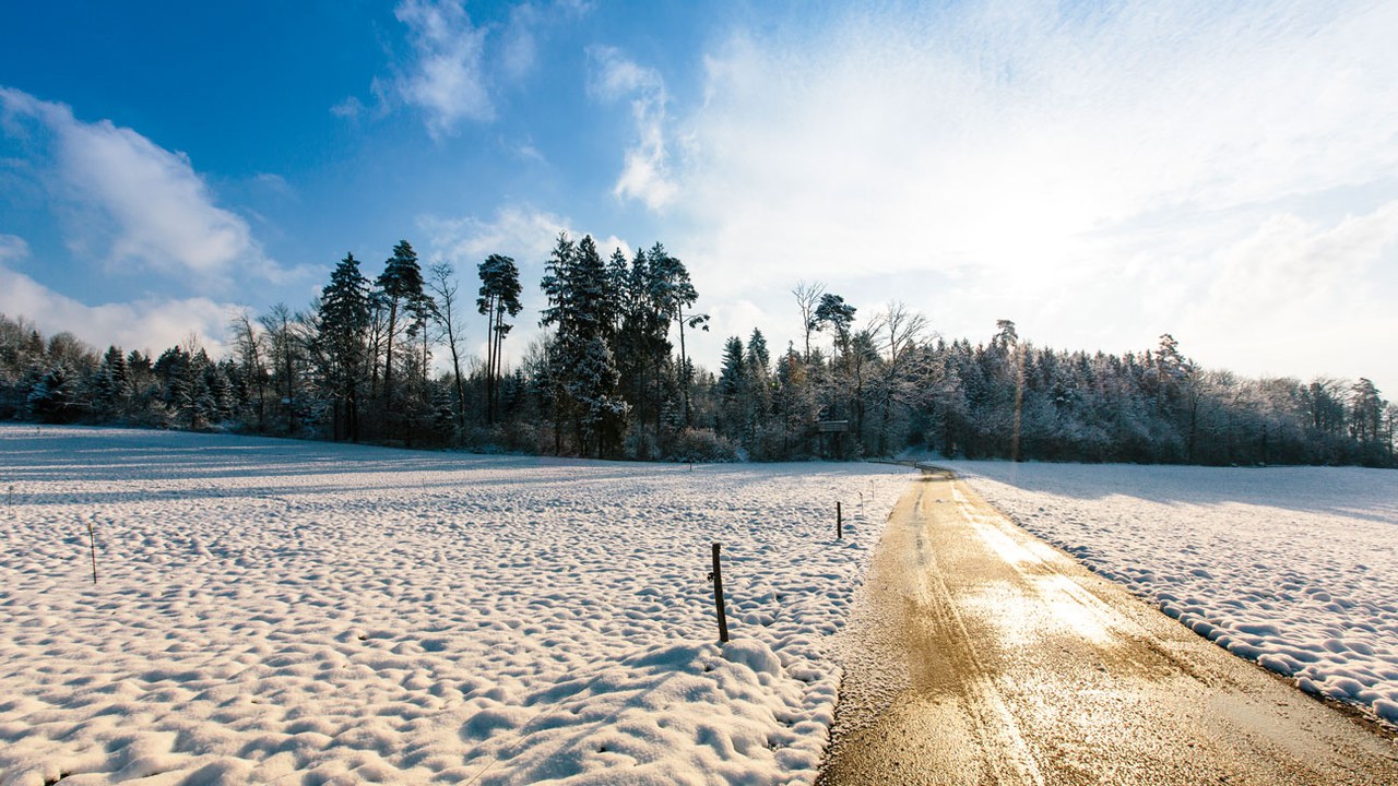 Winterlandschaft beim Steinhauser Wald