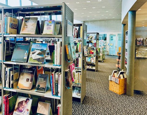 VA / IDPA? In der Mediathek gibts die richtigen Fachbücher dazu VA / IDPA? In der Mediathek gibts die richtigen Fachbücher dazu