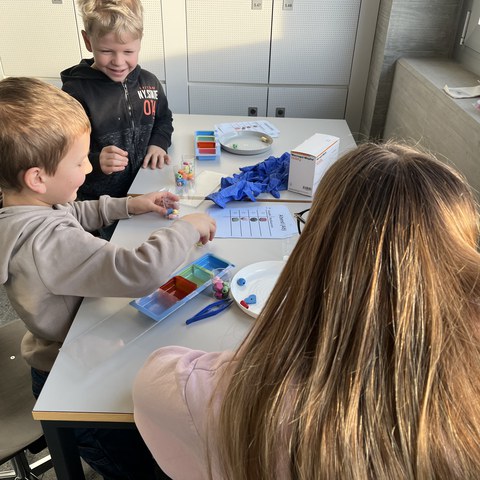 Einblicke in den Pflegealltag