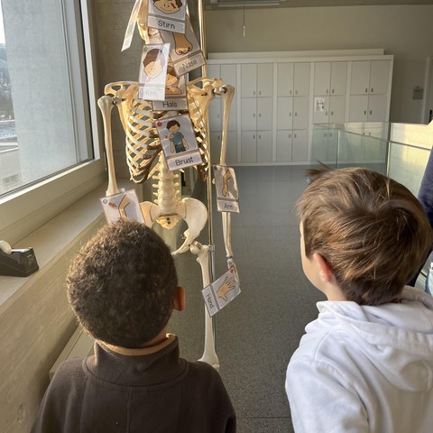 Einblicke in den Pflegealltag