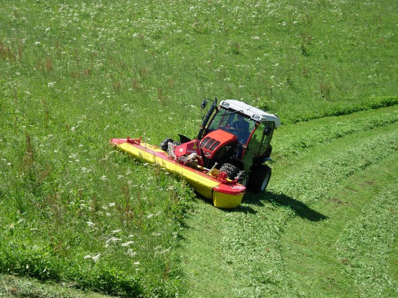 Gras mit Mähwerk mähen