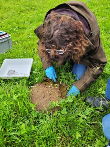 Dung