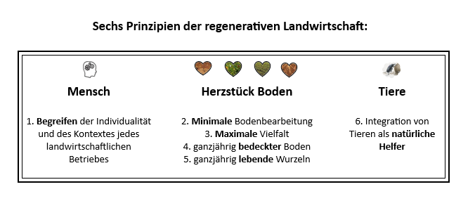 Sechs Prinzipien der regenerativen Landwirtschaft