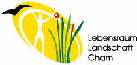 Logo LLC