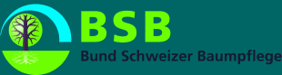 Logo BSB