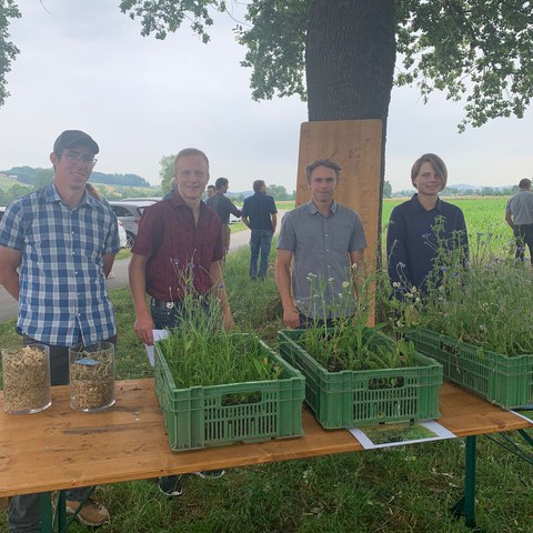 Präsentation Vielfalt auf Biodiversitätsflächen