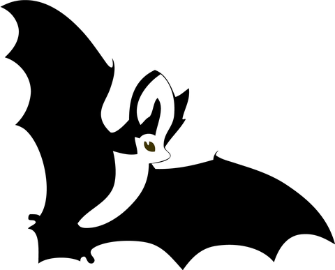 Logo Fleidermausschutz